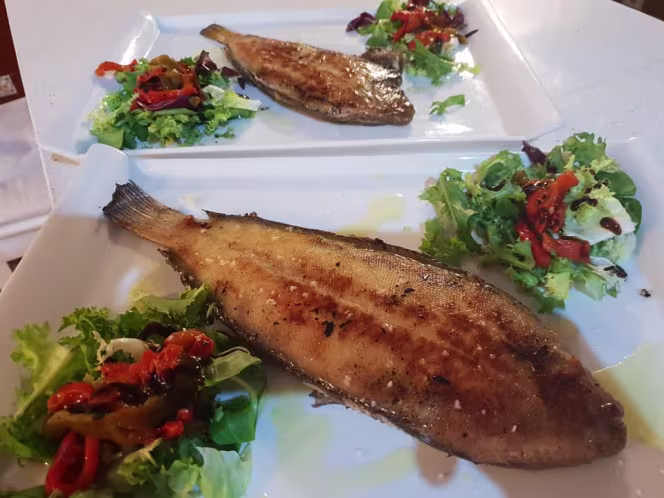 Venta Los Pozuelos - 4