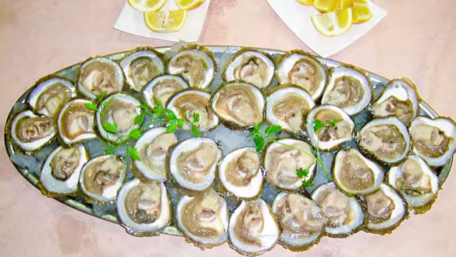 Casa Hidalgo - Sitges - 0