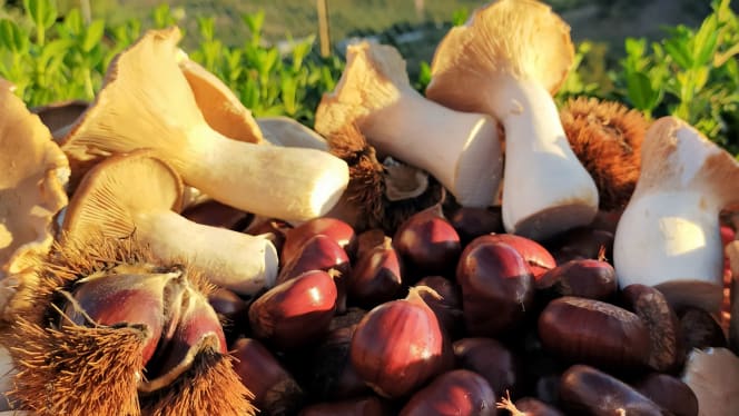 Agriturismo I Cardinali - 1