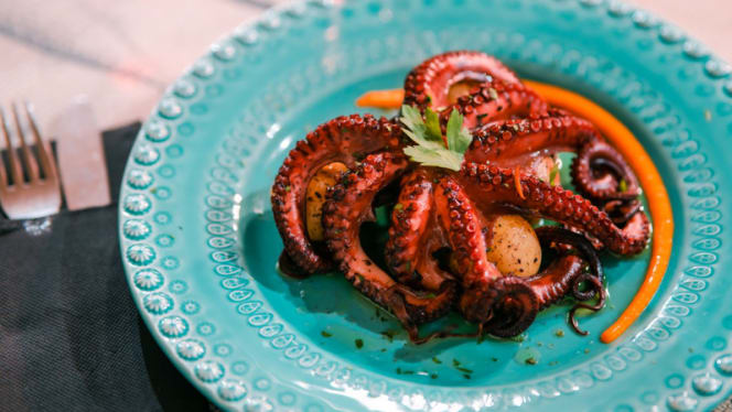 Floresta das Escadinhas - 0