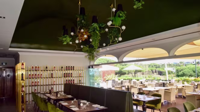 Saudade Restaurante & Bar - 8