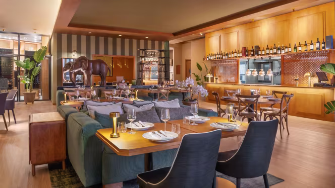 XXL by Olivier  Quinta do lago - 7