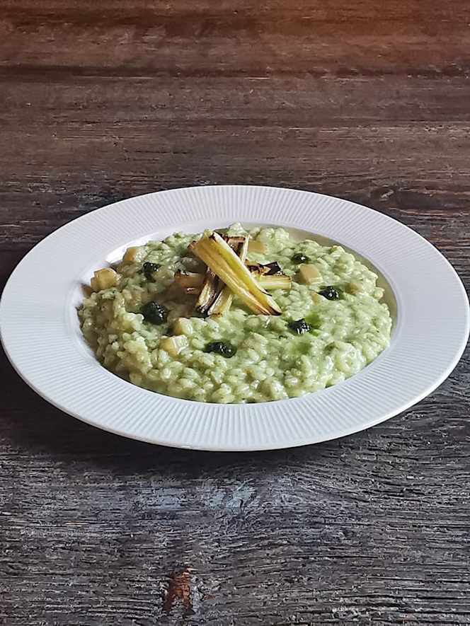 Galbusera Bianca - 6