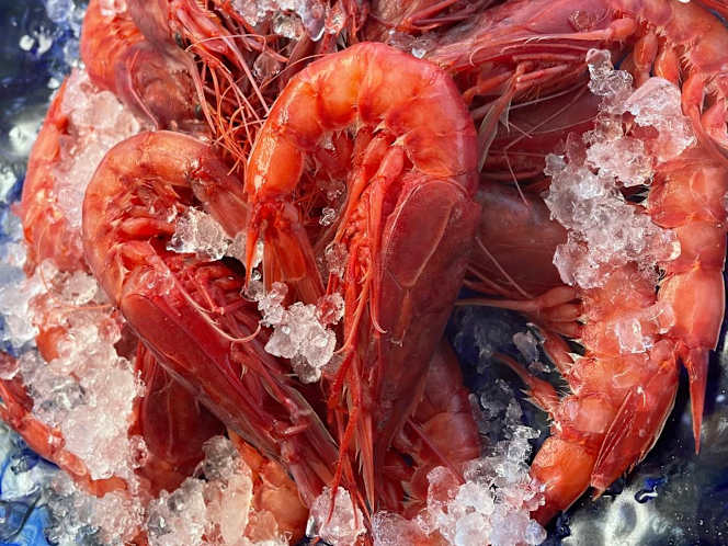 Ristorante Solmar - 6