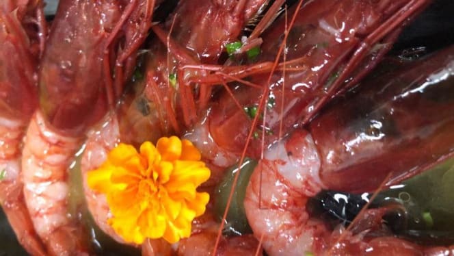 I Mori Exclusive - 1