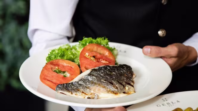 Gerla - Palestro - 1