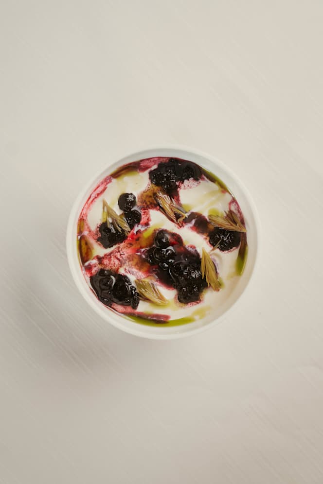 Orso Grigio - Cavalese - 2