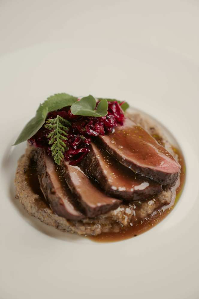 Orso Grigio - Cavalese - 5