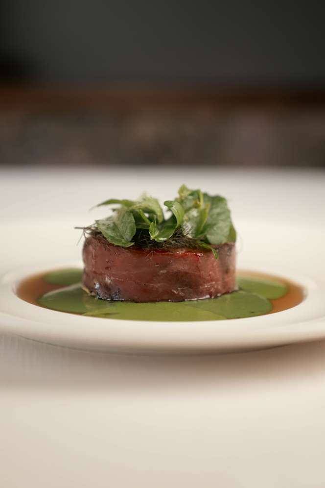 Orso Grigio - Cavalese - 4