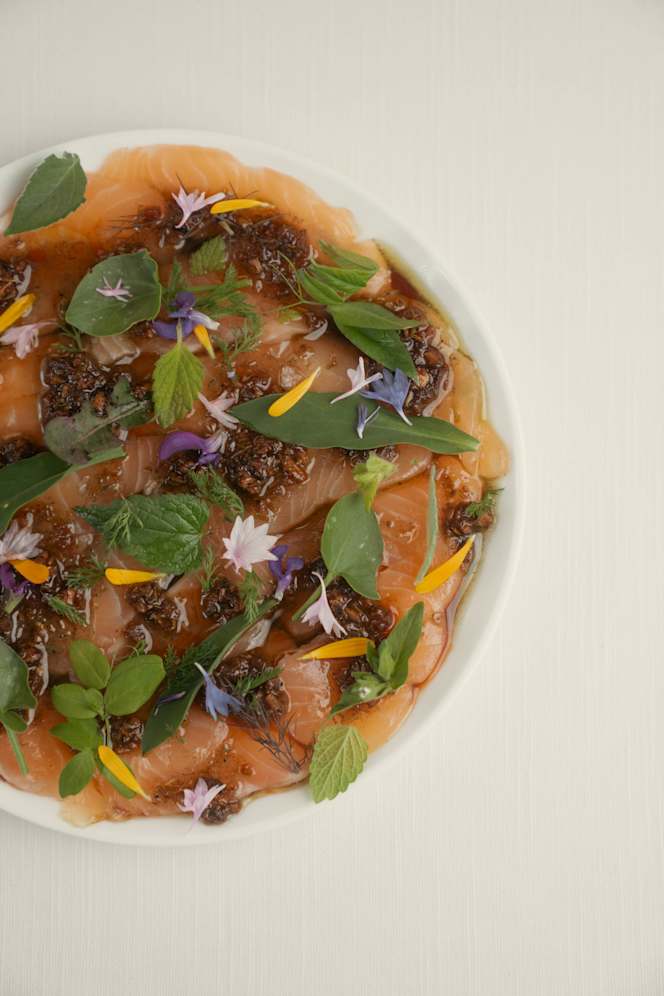 Orso Grigio - Cavalese - 8