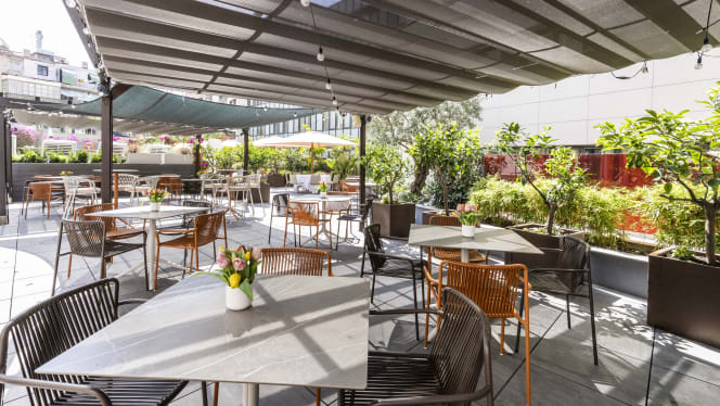 La Terrassa de Pelai - 0