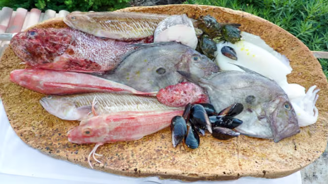 Maurin des Maures - 3