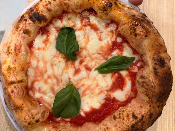 Vincenzo Capuano Nola - 1