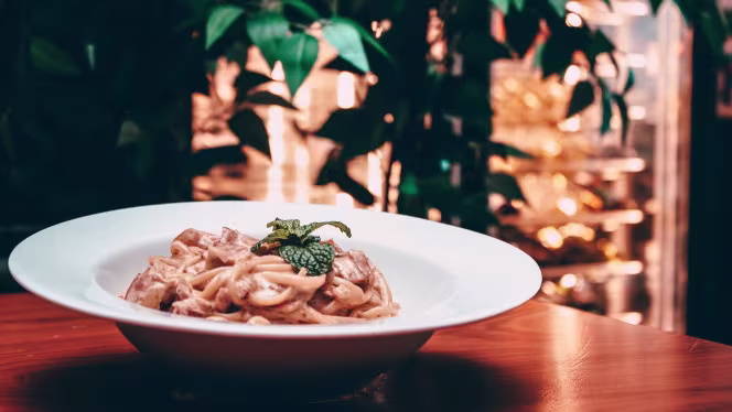 Wow Restaurante – Hotel Ride - 8