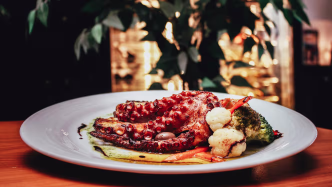 Wow Restaurante – Hotel Ride - 0