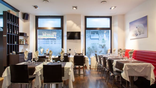 Orso Bianco Giassai - 8