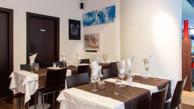 Orso Bianco Giassai - 9