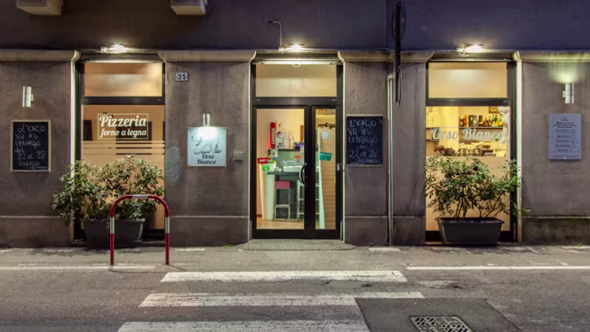 Orso Bianco Giassai - 2