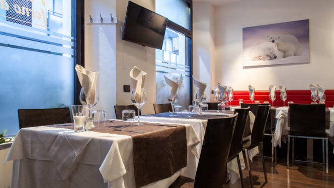 Orso Bianco Giassai - 6