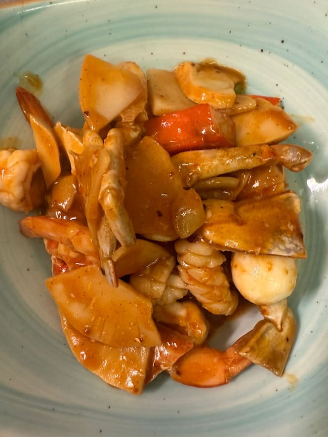 Nuevo Pato Laqueado - 3