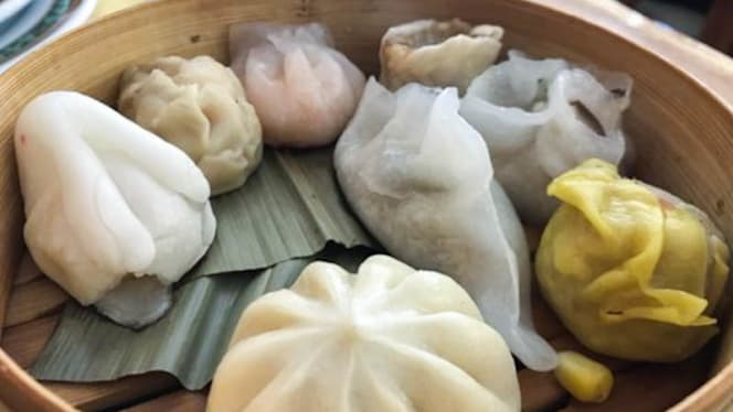 Nuevo Pato Laqueado - 7