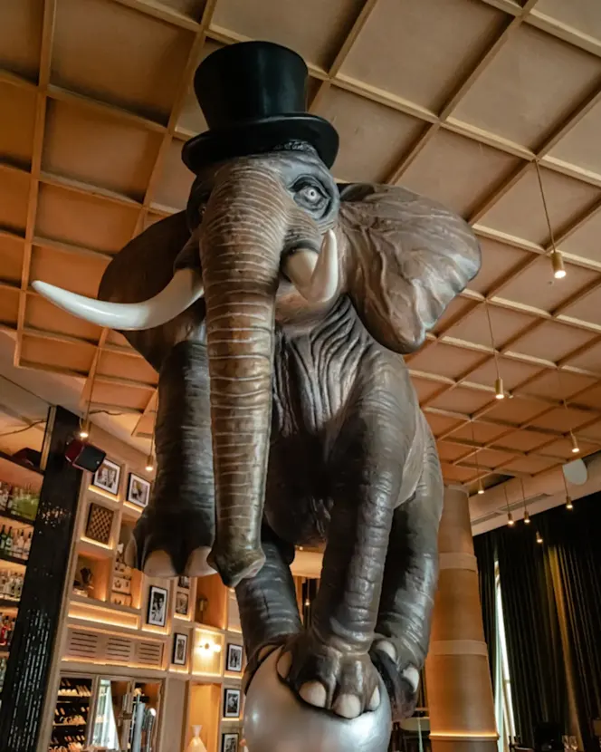 Hipnótico Madrid - 0