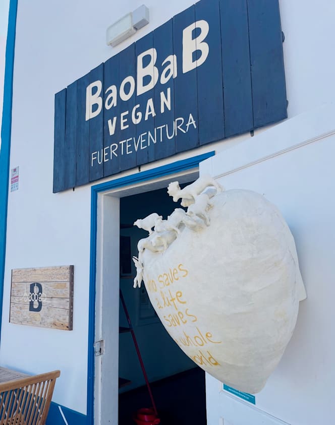 Baobab - 4