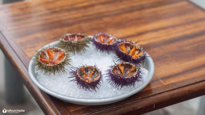 L'avant cour du vallon des Auffes - 5