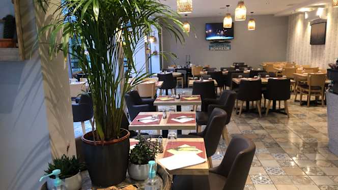 Le petit gourmet - 4