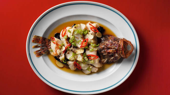 JNcQUOI Frou Frou - Lisboa - 4