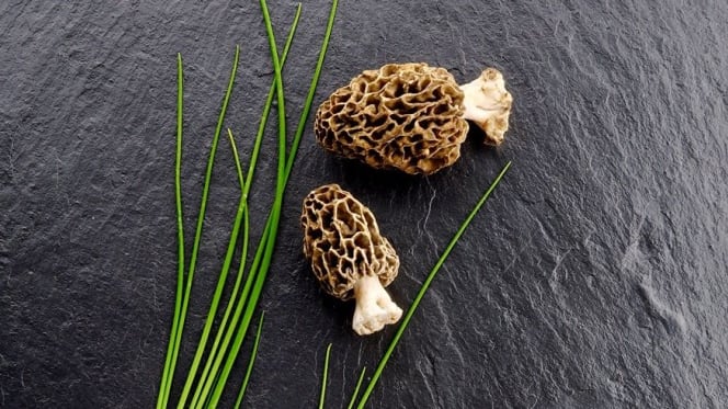 Le Prieuré de Bazainville - 0