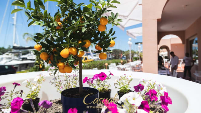 Casual Restaurant & Lounge Bar Portorosa - 1