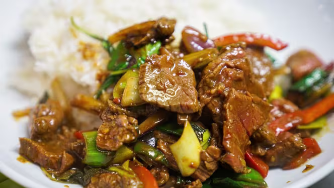 Santosha - Pessac - Pessac - 7