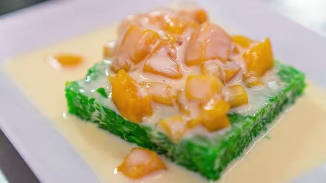 Santosha - Pessac - Pessac - 4