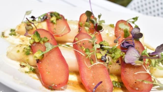 Alzocaire Terraza - 4