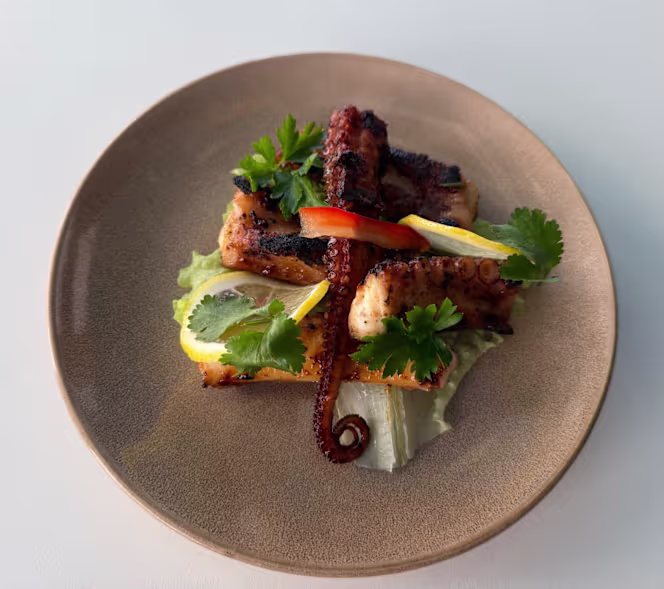 Shima Bloom - Japanese Sushi Restaurant - 1