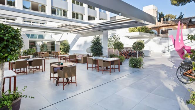 SYNDEO - Palma de Mallorca - 8