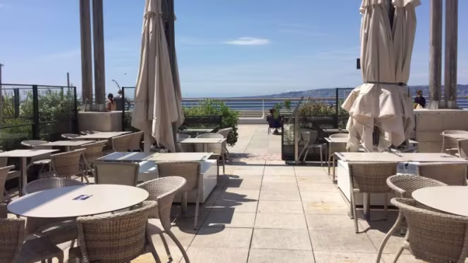 La Brasserie des Terrasses – Fruits de Mer & Poissons (Ex Le Roy René) - Marseille - 9