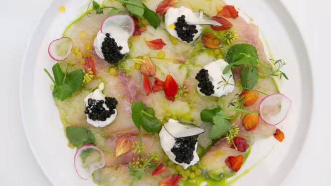 La Brasserie des Terrasses – Fruits de Mer & Poissons (Ex Le Roy René) - Marseille - 1