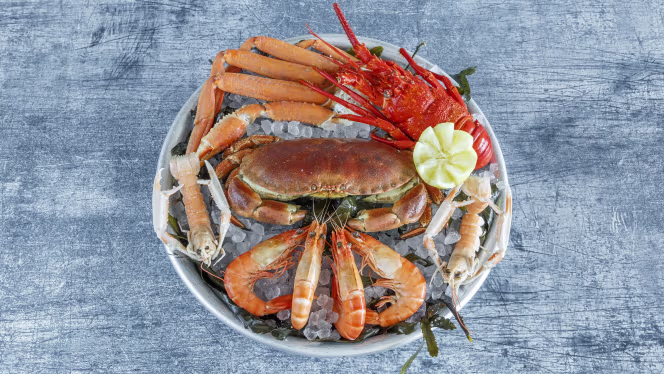 La Brasserie des Terrasses – Fruits de Mer & Poissons (Ex Le Roy René) - Marseille - 3