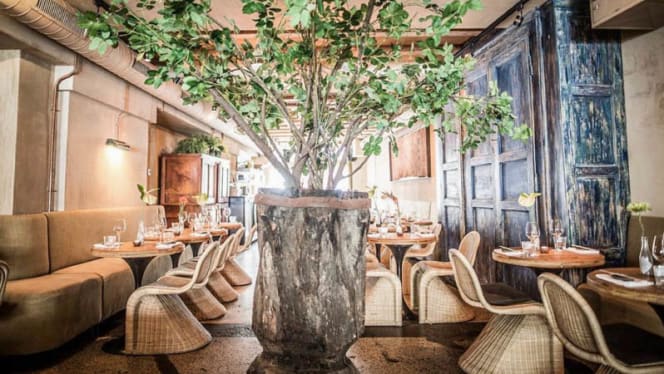 Ashoka - Amsterdam Centrum - 0