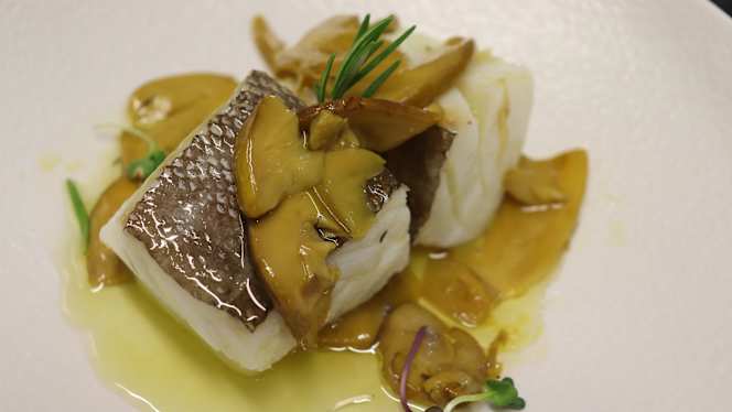 La Estrella 1924 - 2