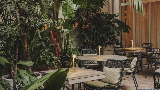 The Greenhouse Pulitzer - 4