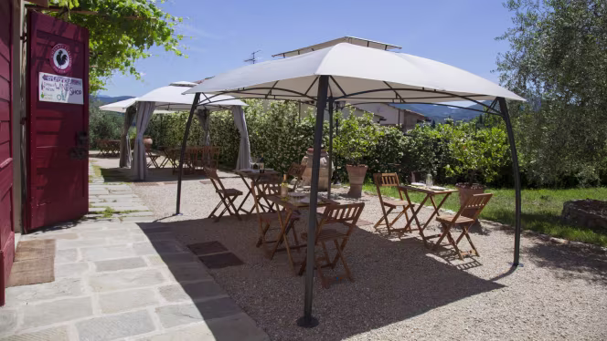 Agriturismo Ulivello in Chianti - 9