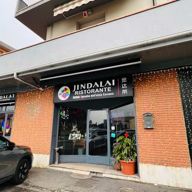 Jindalai Coreano - 8