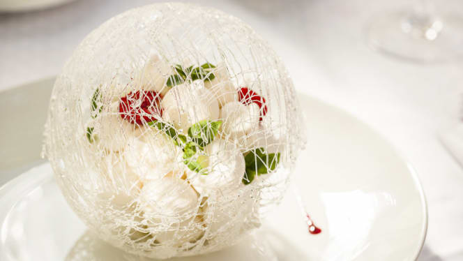 Le Lou Marques (Hôtel Jules César) - Arles - 3