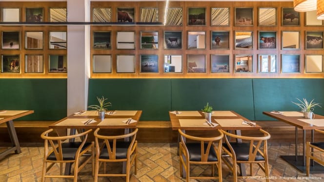 El Fogon de Mariana Voltaire - Jerez De La Frontera - 2