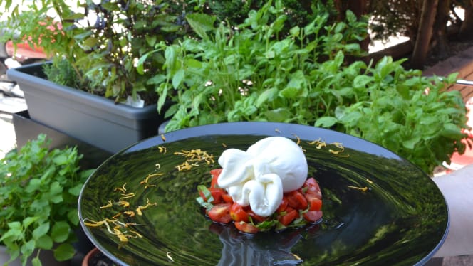 Ristorante Gatto Moro - 6