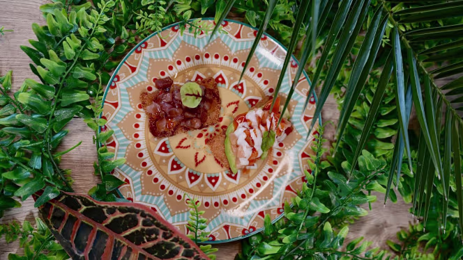 Balance Tropical Lounge - 8