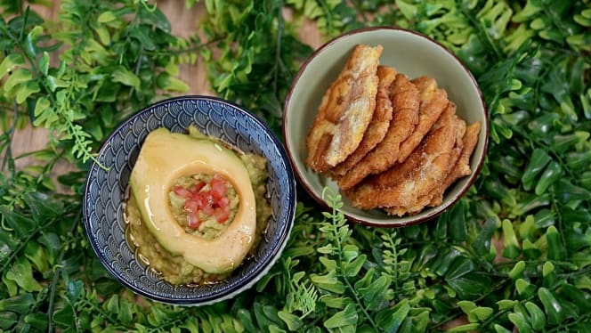 Balance Tropical Lounge - 0